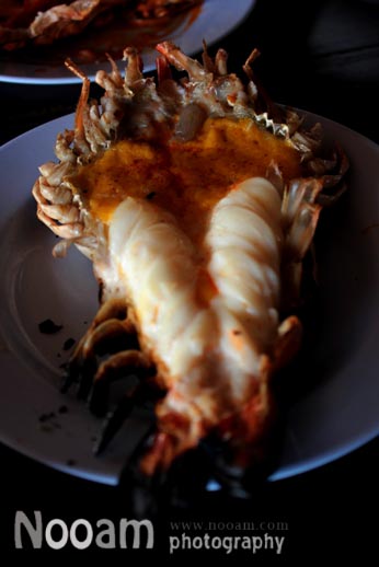 รีวิว ร้านต้นน้ำ ร้านอาหารริมน้ำ กุ้งเผาตัวใหญ่ อาหารอร่อย บางปะอิน อยุธยา